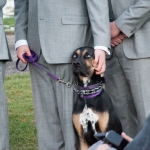 SHCM-851
